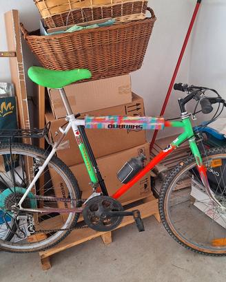 Biciclette Mountain Bike