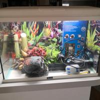 acquario aquatlantis start 