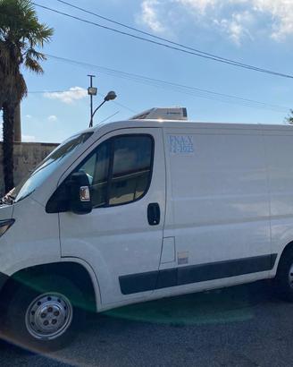 PEUGEOT BOXER 2.0 MULTIJET, 110CV ATP CON FRIGO