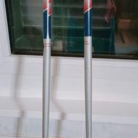 Dynamic Bastoncini da discesa / racchette da sci