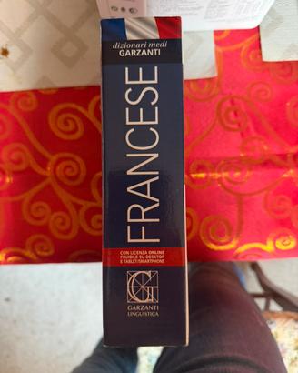 Dizionario francese