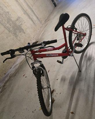 Mountain bike 