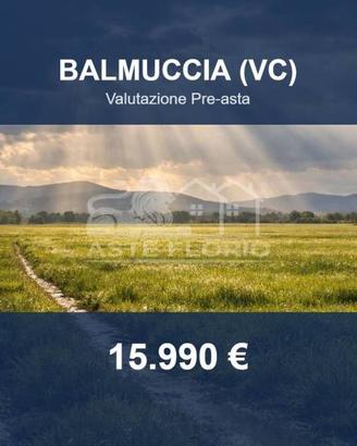 Immobile in asta di 17370 m² a Balmuccia