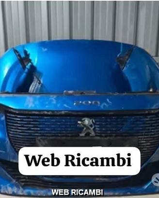 MUSATA Peugeot 208 musata frontale 2020 2021 2022