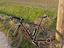 Immagine 6