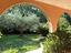 Immagine 17