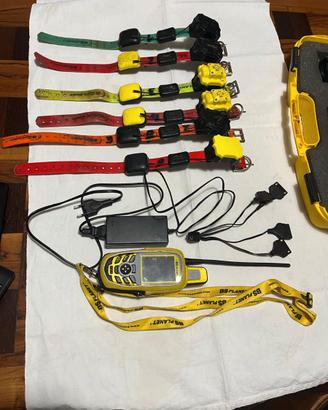 collari cani caccia da addestramento