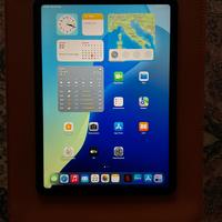 iPad Air (5th Gen) Wi-Fi + Cellular