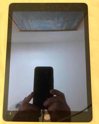 IPad Air 2 32 GB grigio.