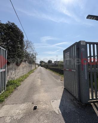 Terreno Agricolo Terracina [Cod. rif 3308552VRG]