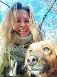 Dog sitter e dog walker - Monza e Brianza