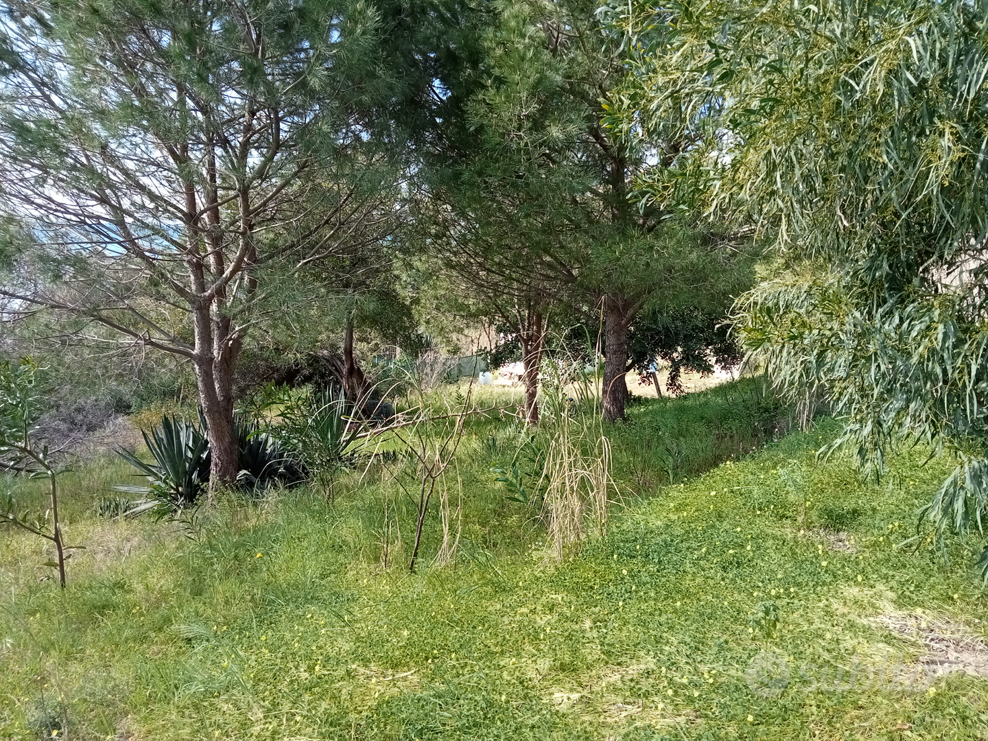 Terreno vicino al mare Cipollazzo - Vista 2