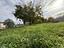 Immagine 24
