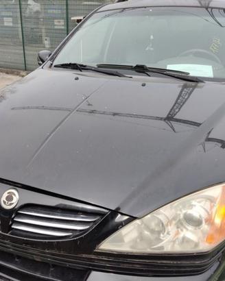 Cofano SSANGYONG KYRON del 2007