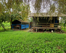 Terreno con laghetto acqua sorgiva