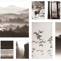 Tele arredamento soggiorno