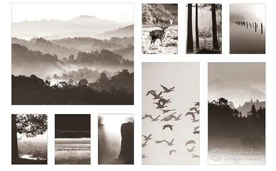 Tele arredamento soggiorno