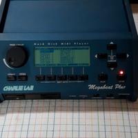 CHARLYE LAB   HARD DISK!!