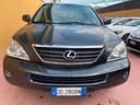lexus-rx-400-rx-400h-ambassador