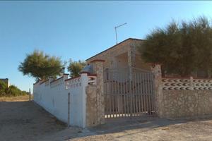 Casa parco delle dune libera dal 23 Agosto