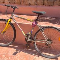 2 Mountain bike da sistemare