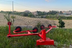 Ranghinatore 5 stelle