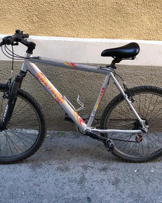 Mountain bike