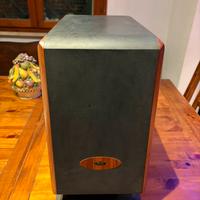 Subwoofer Attivo Chario SW1