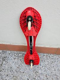 skate board due ruote