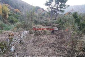 Terreno, Carini.