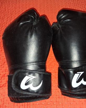 guantoni da box