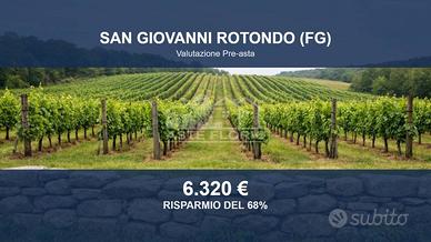 Immobile in asta di 356 m² a San Giovanni Rotondo