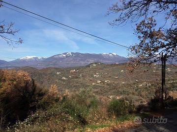 Terreno edificabile di 14000 mq con rudere