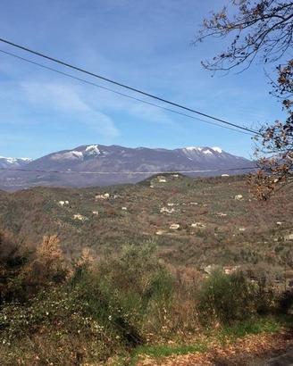 Terreno edificabile di 14000 mq con rudere