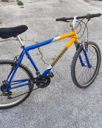 Mountain-bike