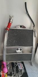 Radiatore Malossi