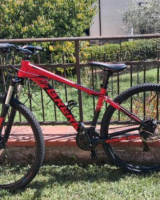 bici mtb