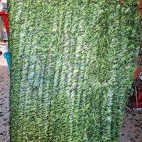 siepe sintetica a foglie