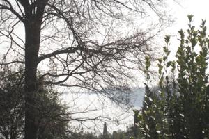 Terreno agricolo