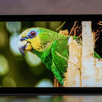 honor pad 10 sigillato in garanzia