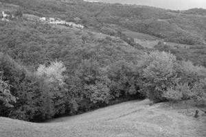 RGE 147/2022 Tribunale Verona