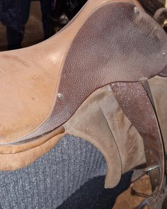 sella senza pomello,coperta briglie