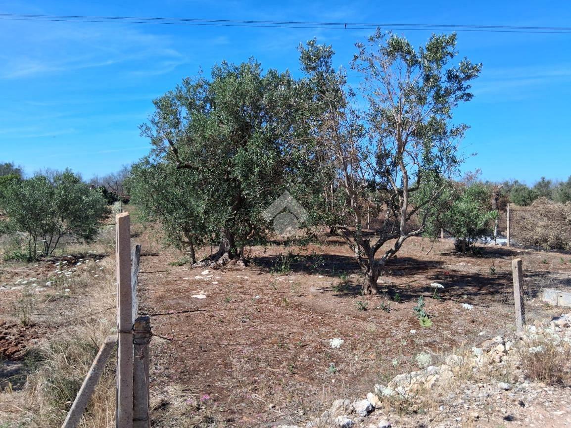 TER. AGRICOLO A NARDÒ - Vista 3