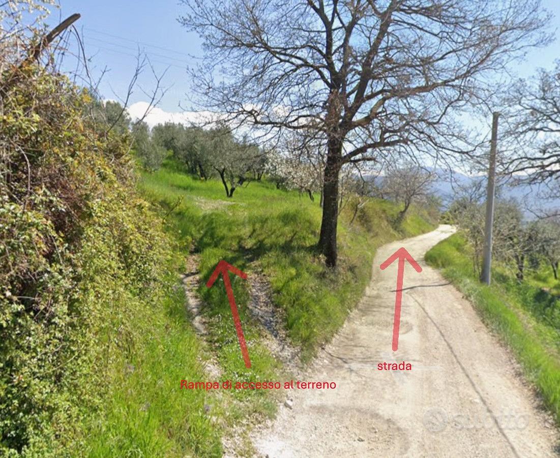 Uliveto in Sabina - Vista 2