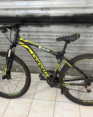 bicicletta corelli