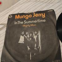 Mungo Jerry – In the Summertime 45 giri