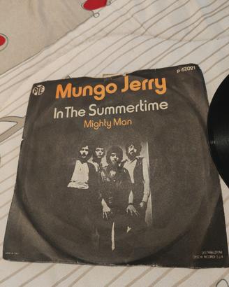Mungo Jerry – In the Summertime 45 giri