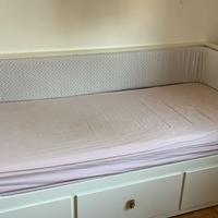 Paracolpi done by deer