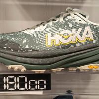 HOKA SPEEDGOAT GTX UOMO E DONNA