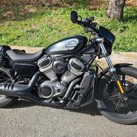 Harley-davidson Nightster 2023